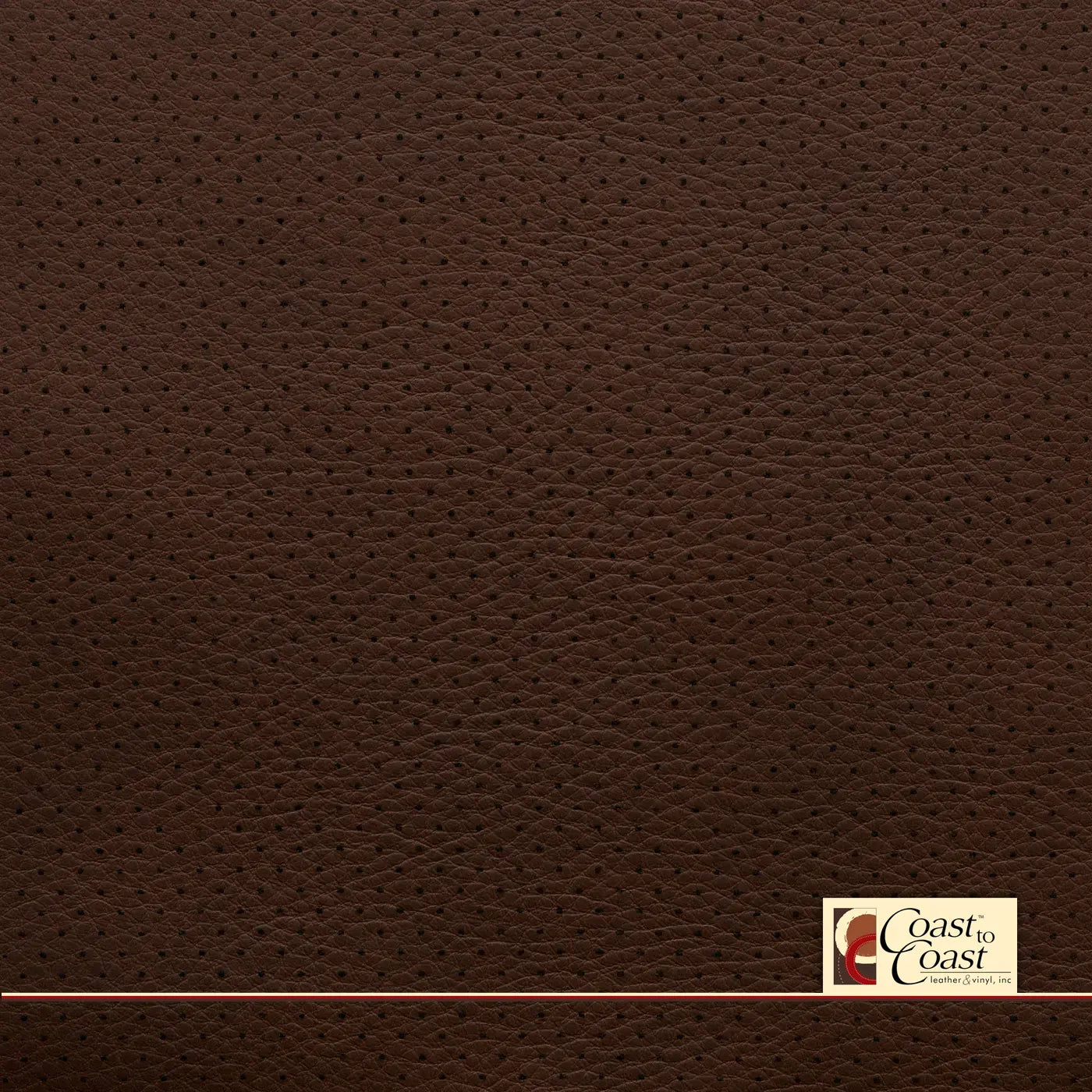 Ford King Ranch Brown Mini Perf (1/8In) Vinyl